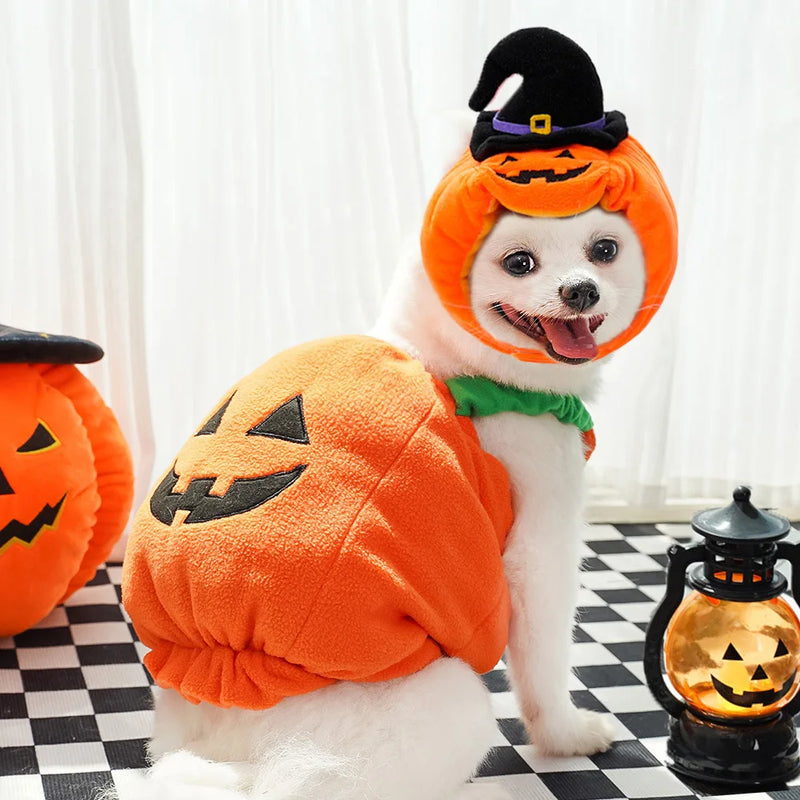 Halloween Pet Pumpkin Costume Cats Dogs Teddy Funny Transforming Costume Autumn Winter Festival Pet Clothing