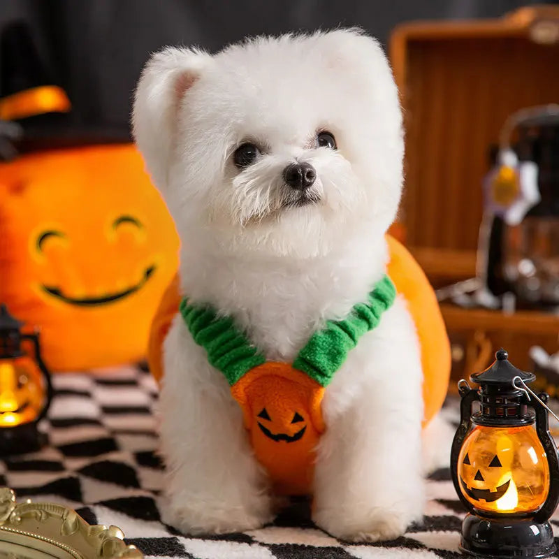 Halloween Pet Pumpkin Costume Cats Dogs Teddy Funny Transforming Costume Autumn Winter Festival Pet Clothing