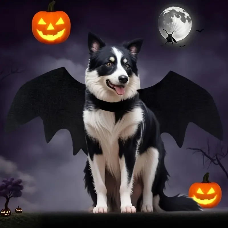 Halloween Pet Bat Wings Felt Costume for Small Dogs Cats Cute Funny Pet Outfit Apparel for Halloween Party Cosplay Accessories