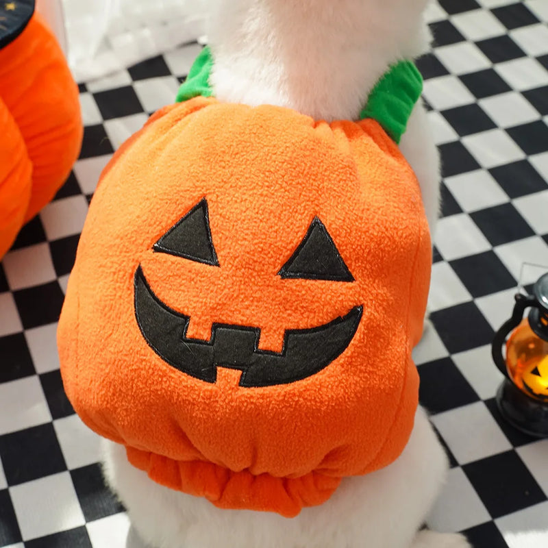 Halloween Pet Pumpkin Costume Cats Dogs Teddy Funny Transforming Costume Autumn Winter Festival Pet Clothing